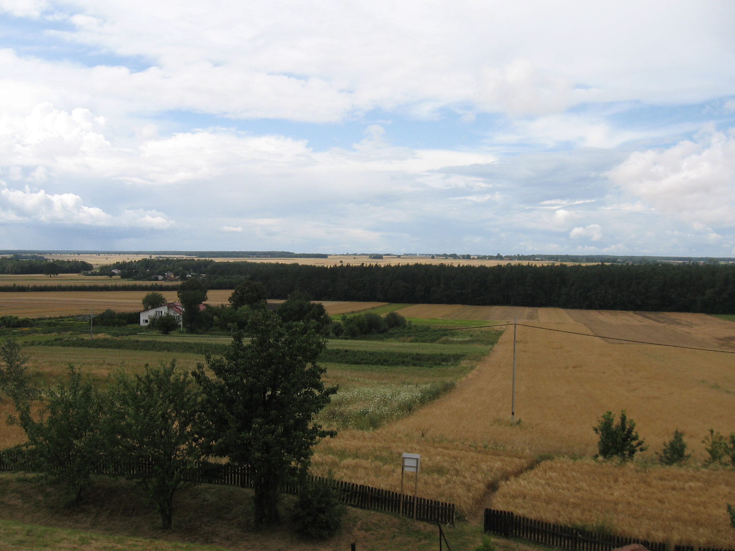 Widok na pola i w oddali lasy z kopca zlokalizowanego przy szlaku rowerowym na Lubelszczyźnie