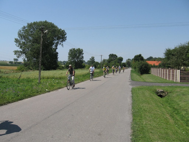 Grupa turystów jedzie na rowerach po drodze asfaltowej. Słoneczny dzień, wokół zielone łąki