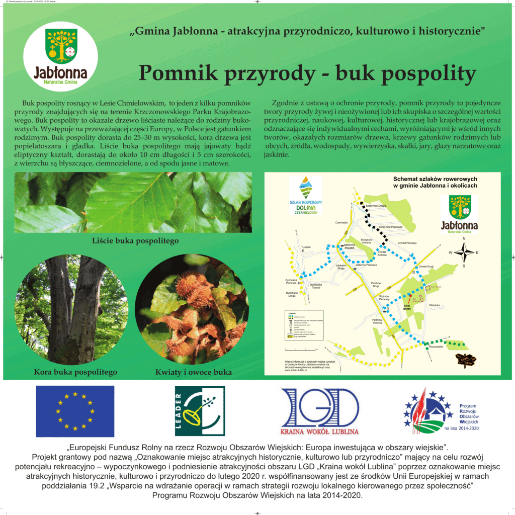 Informacja o ciekawostce w gminie Jabłonna. Na zielonym tle tekst, poniżej mapa z przebiegiem szlaków oraz zdjęcia liści i nasion buka
