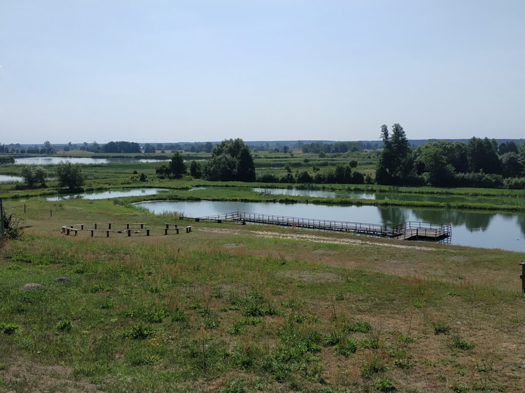łąki i stawy. Z lewej kila drewnianych ławeczek ustawionych w koło. Na pierwszym stawie pomost
