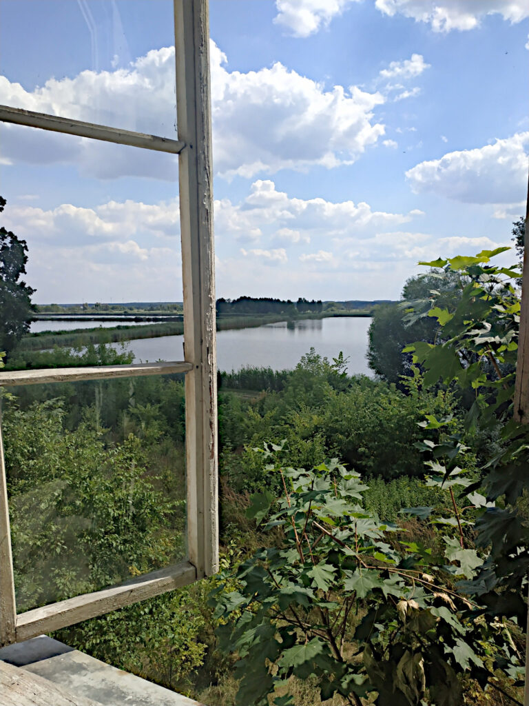 Otwarte okno widok na park i stawy