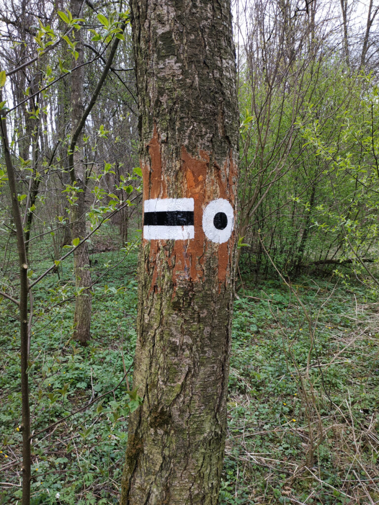 Namalowane na drzewie znaki szlaku pieszego. Z lewej strony w środku czarny pasek powyżej i poniżej biały, z prawej czarne kółko z białą otoczką.