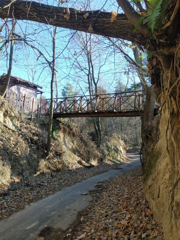 nieduży mostek przerzucony nad stromym wąwozem.