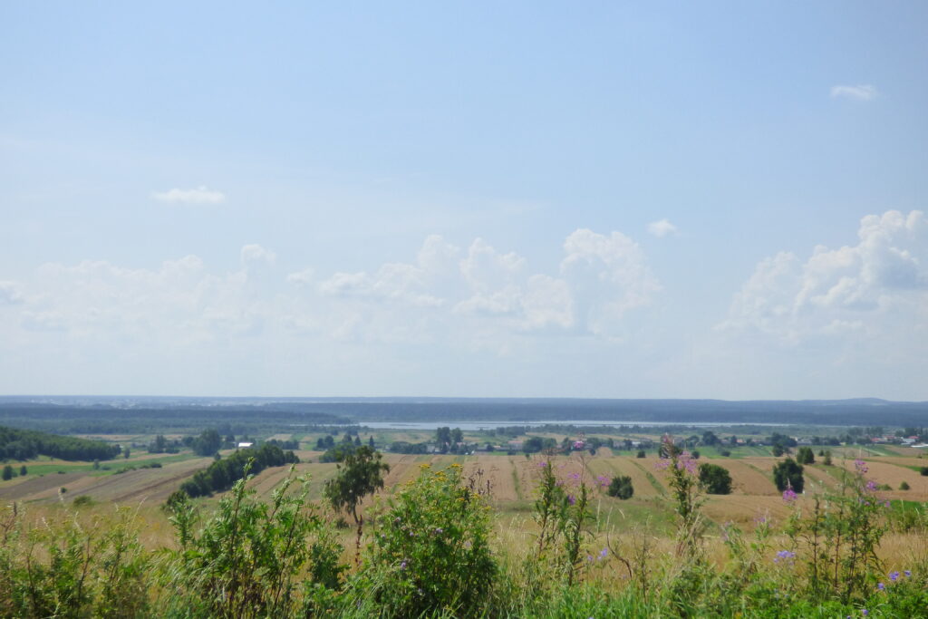 Panorama ze wzniesienia. Łąki, pola, w oddali stawy i na samym horyzoncie lasy.
